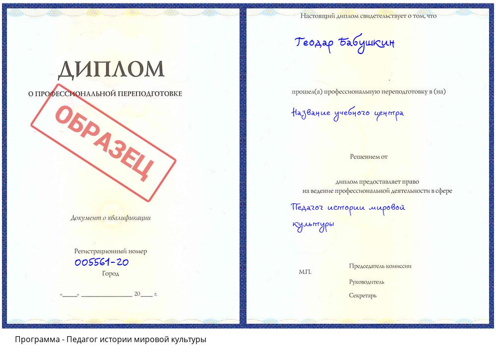 Педагог истории мировой культуры Сургут