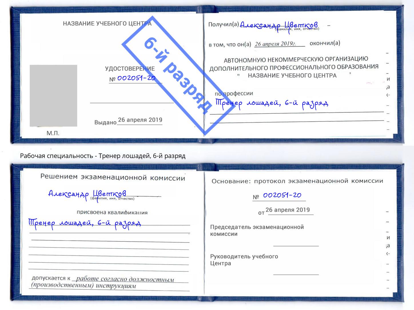 корочка 6-й разряд Тренер лошадей Сургут