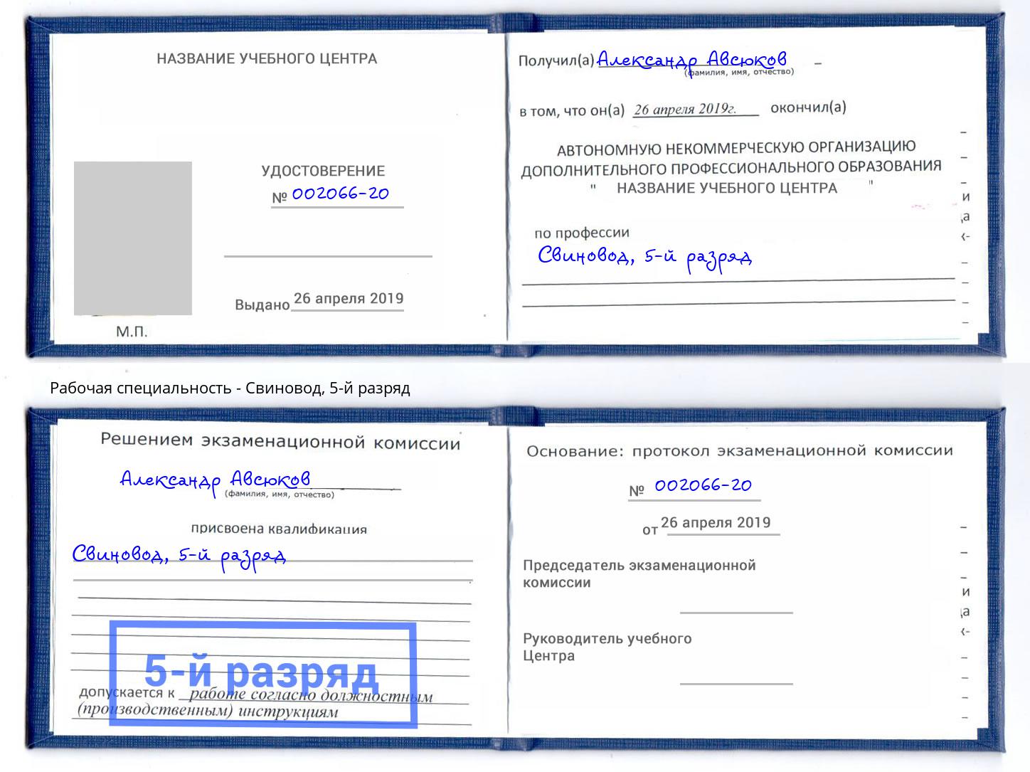 корочка 5-й разряд Свиновод Сургут